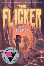 Flicker