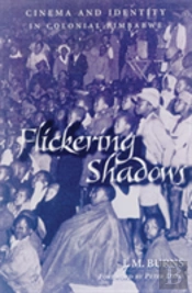 Flickering Shadows