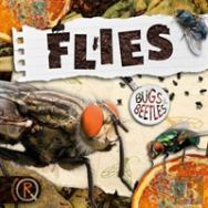 Flies