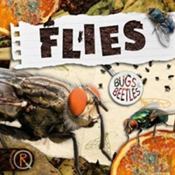 Bertrand.pt - Flies