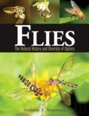 Flies