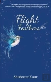 Flight Feathers