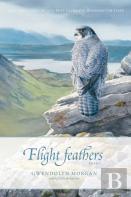 Flight Feathers