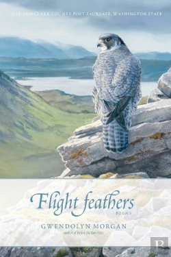 Bertrand.pt - Flight Feathers
