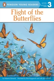 Flight Of The Butterflies