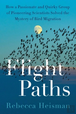 Bertrand.pt - Flight Paths
