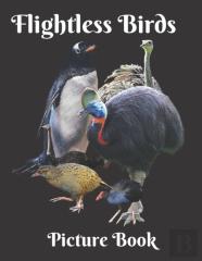 Flightless Birds Picture Book