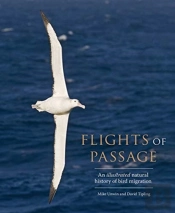Flights Of Passage
