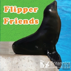 Bertrand.pt - Flipper Friends
