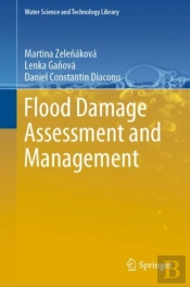 Flood Damage Assessment And Management