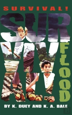 Bertrand.pt - Flood