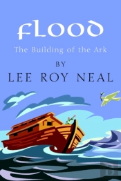 Flood