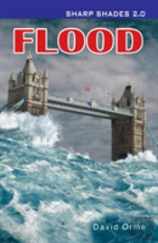 Flood  (Sharp Shades)
