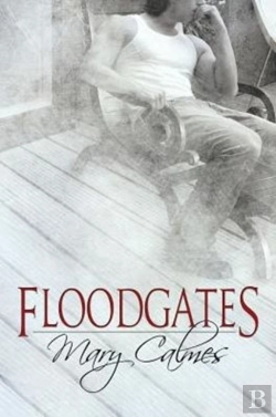 Bertrand.pt - Floodgates