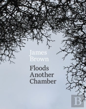 Floods Another Chamber