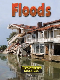 Bertrand.pt - Floods
