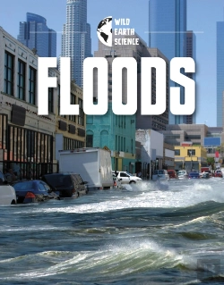 Bertrand.pt - Floods