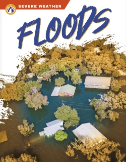 Bertrand.pt - Floods