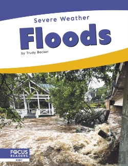 Bertrand.pt - Floods