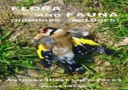 Flora And Fauna (Hominids Included)