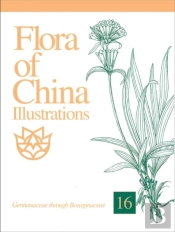 Flora Of China Illustrations, Volume 16 - Gentianaceae Through Boraginaceae