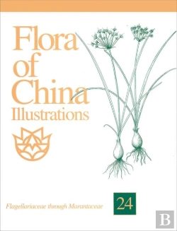 Bertrand.pt - Flora Of China Illustrations, Volume 24 - Flagellariaceae Through Marantaceae