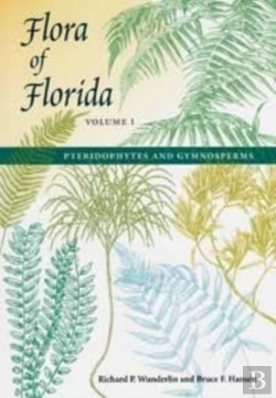 Bertrand.pt - Flora Of Florida V. 1; Pteridophytes And Gymnosperms