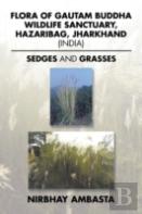 Flora Of Gautam Buddha Wildlife Sanctuary, Hazaribag, Jharkhand (India)