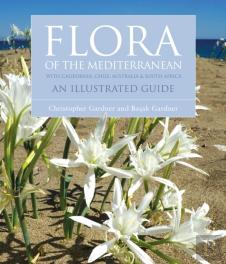 Flora Of The Mediterranean