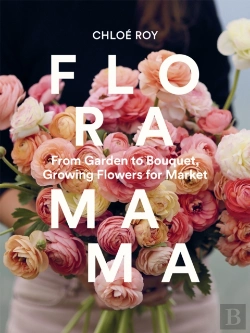 Bertrand.pt - Floramama
