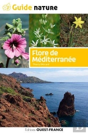 Flore De Méditerrannée