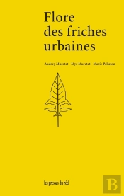 Flore Des Friches Urbaines