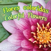 Flores Coloridas