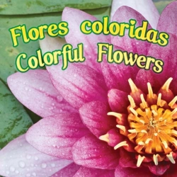 Bertrand.pt - Flores Coloridas