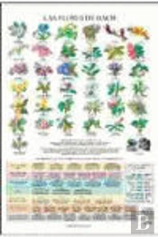 Flores De Bach Poster