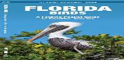 Florida Birds