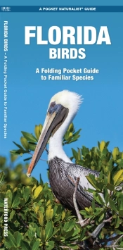 Florida Birds