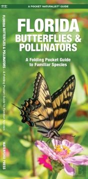 Florida Butterflies & Pollinators
