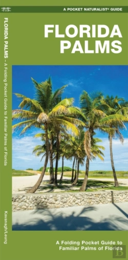 Bertrand.pt - Florida Palms