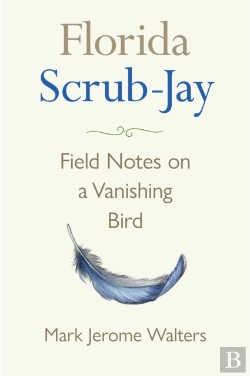 Bertrand.pt - Florida Scrub-Jay