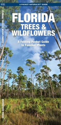 Bertrand.pt - Florida Trees & Wildflowers
