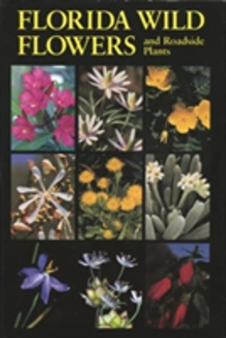 Bertrand.pt - Florida Wild Flower And Roadside Plants