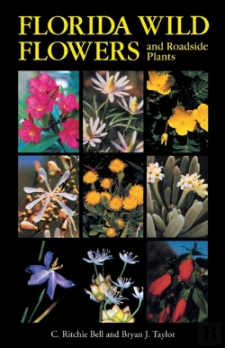 Bertrand.pt - Florida Wild Flowers And Roadside Plants