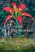 Florida Wildflowers