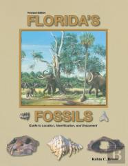 Florida'S Fossils