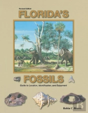 Florida'S Fossils