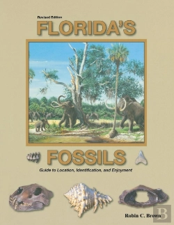 Bertrand.pt - Florida'S Fossils