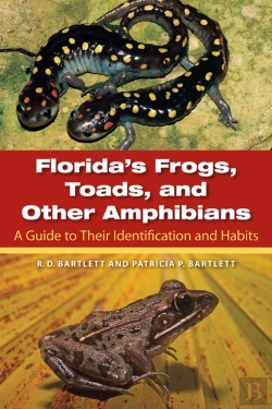 Bertrand.pt - Florida'S Frogs, Toads, And Other Amphibians