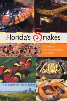 Florida'S Snakes
