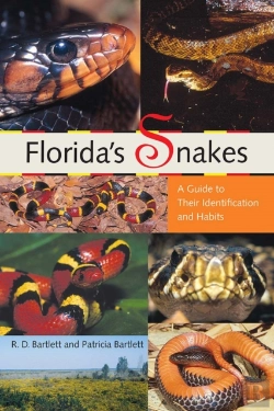 Bertrand.pt - Florida'S Snakes